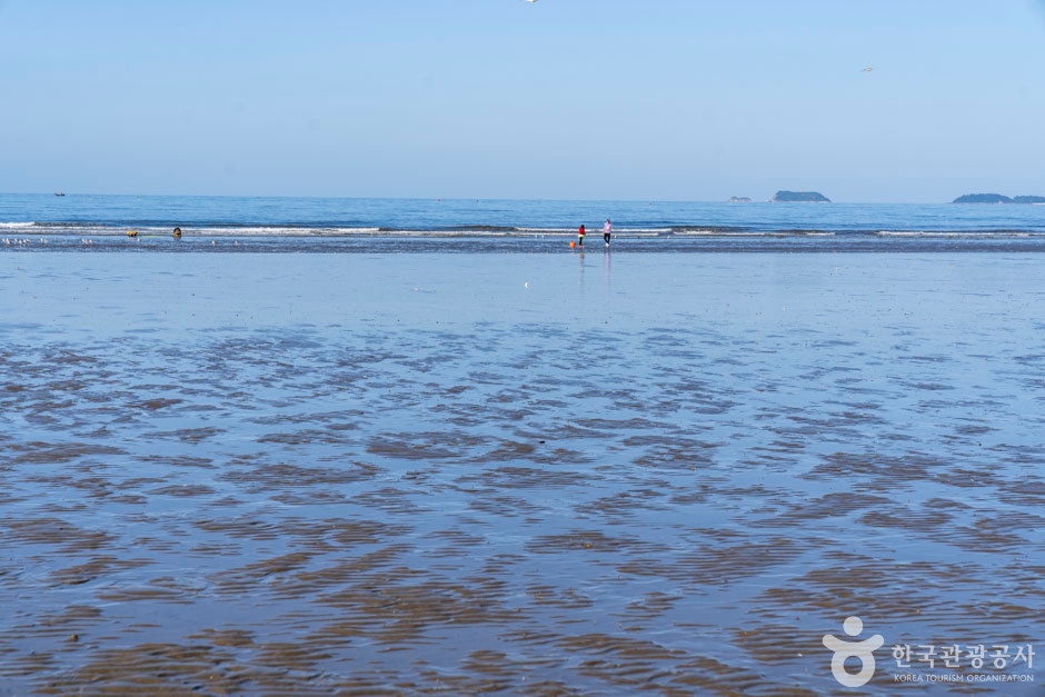 밧개해수욕장 이미지 2