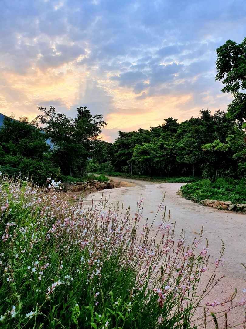 정남진 수목원 이미지 4