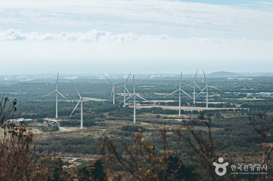 대록산(큰사슴이오름) 이미지 7