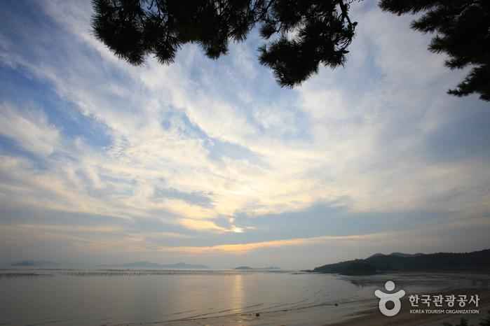 암태 추포해수욕장 이미지 6