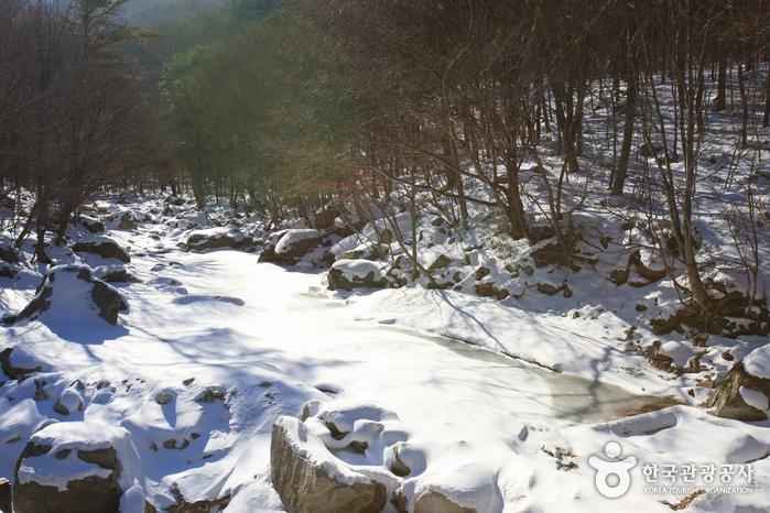 구천동계곡 이미지 3