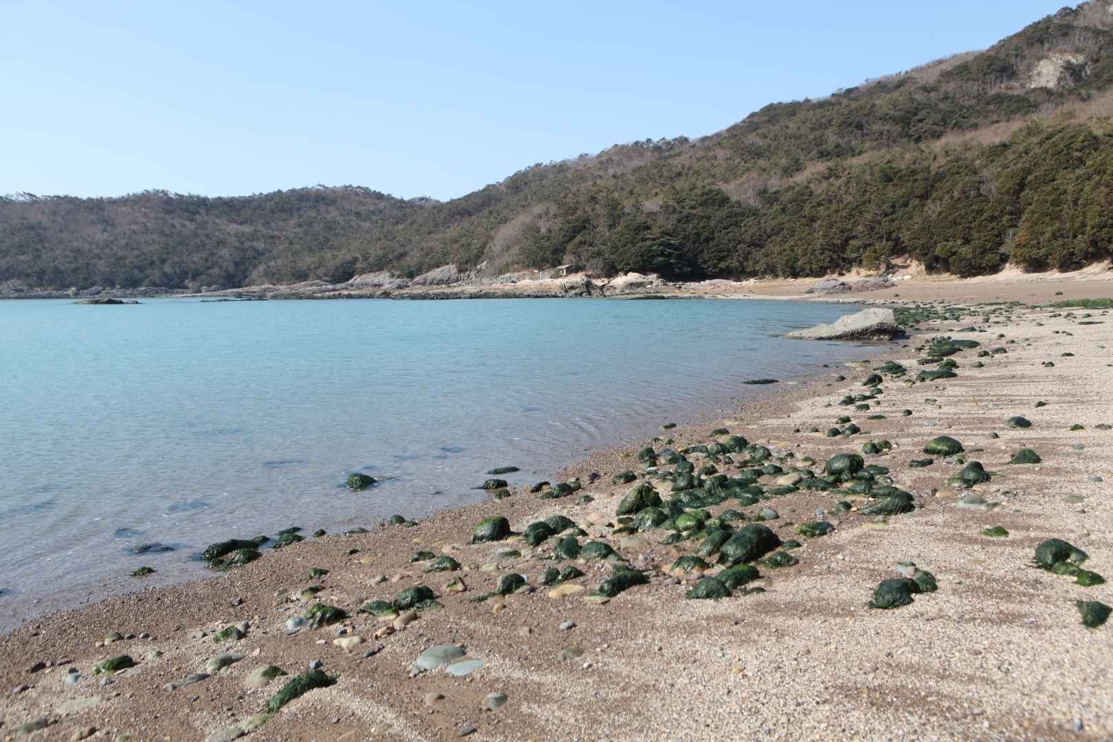 접도 이미지 7
