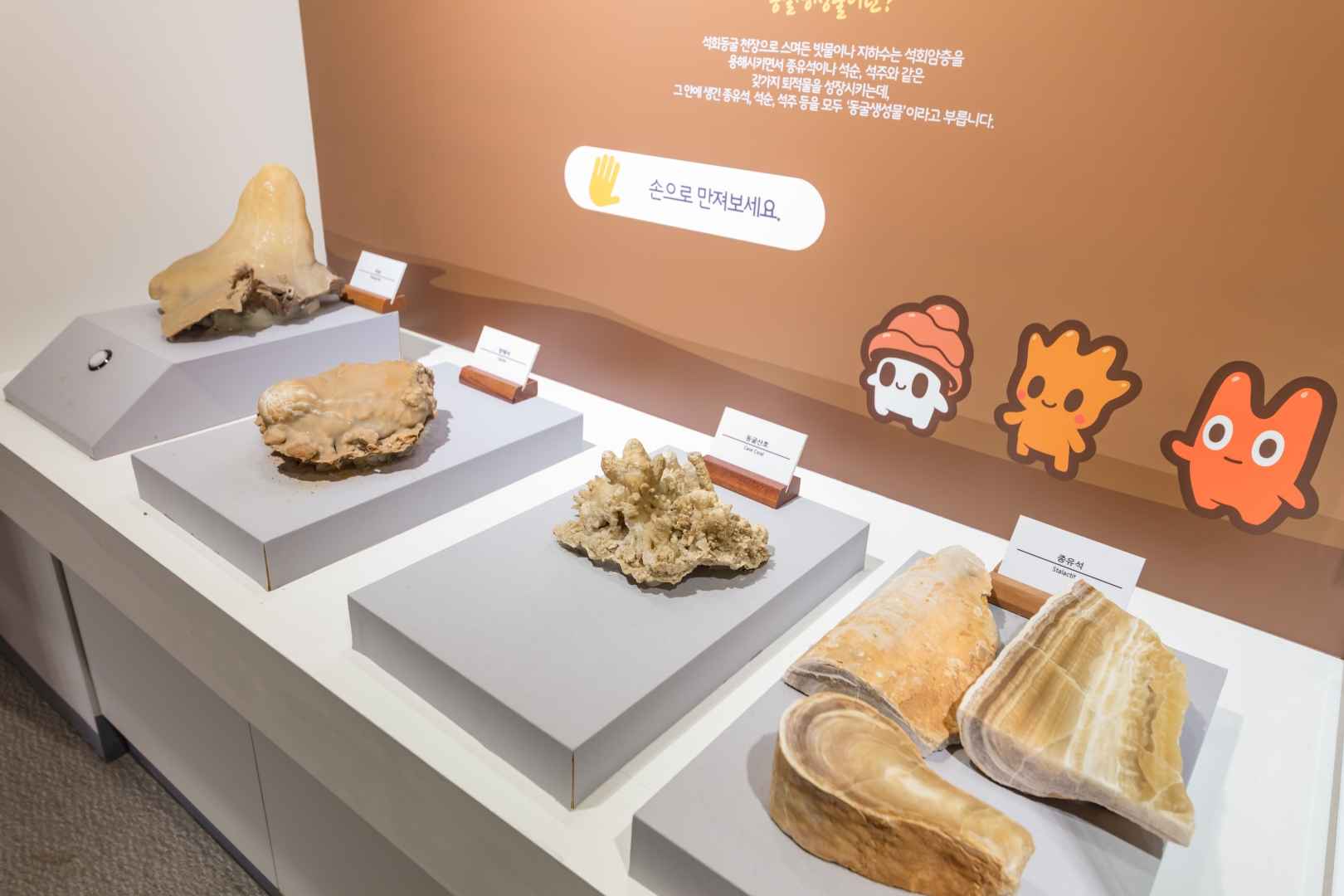 백룡동굴 (강원고생대 국가지질공원) 이미지 6