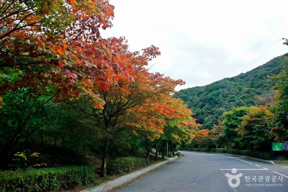 수락계곡 이미지 5