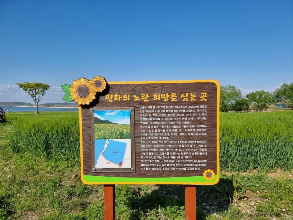 난정리 해바라기마을 정원 이미지 4