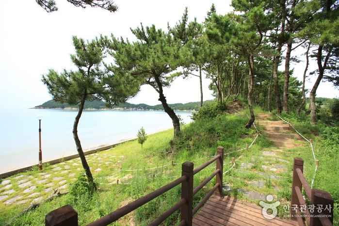 자은 분계해수욕장 이미지 5