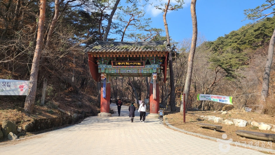 용문사(용문산) 이미지 2