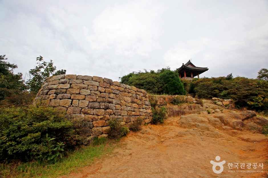 보문산 행복 숲 둘레길 이미지 6