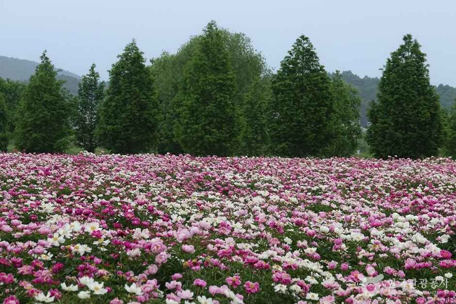 핫들생태공원 이미지 4
