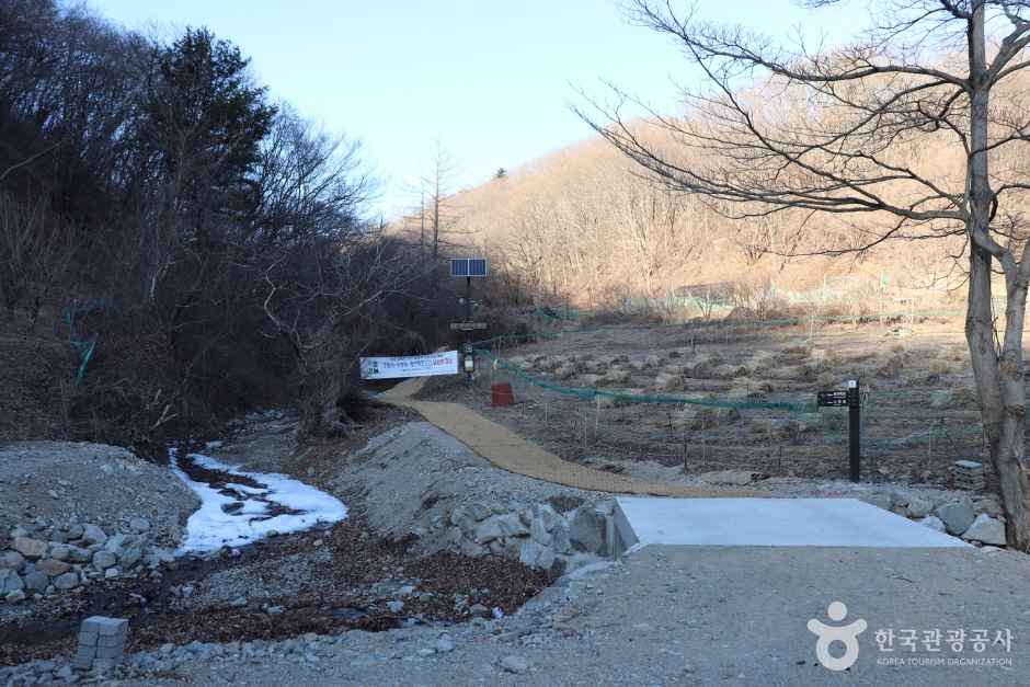 경주 왕의 길 이미지 7