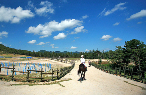 운주산승마자연휴양림 이미지 2