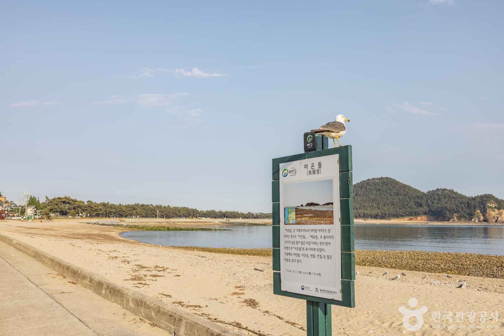 어은돌해수욕장 이미지 5