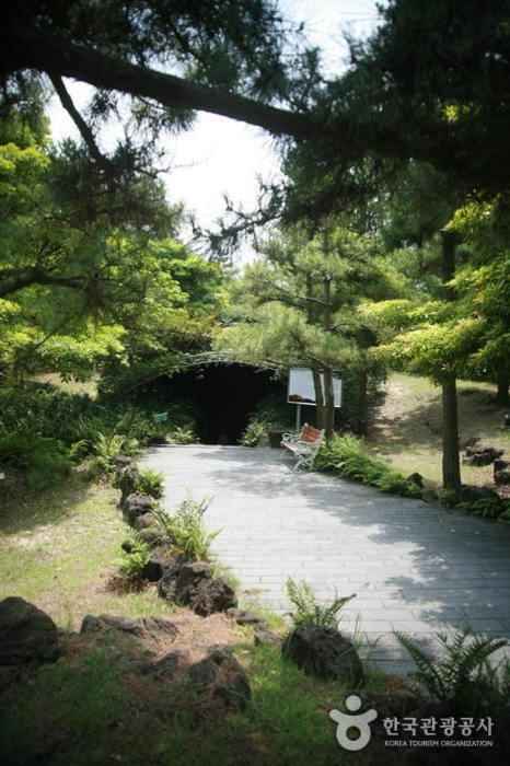 쌍용굴(한림공원) 이미지 2