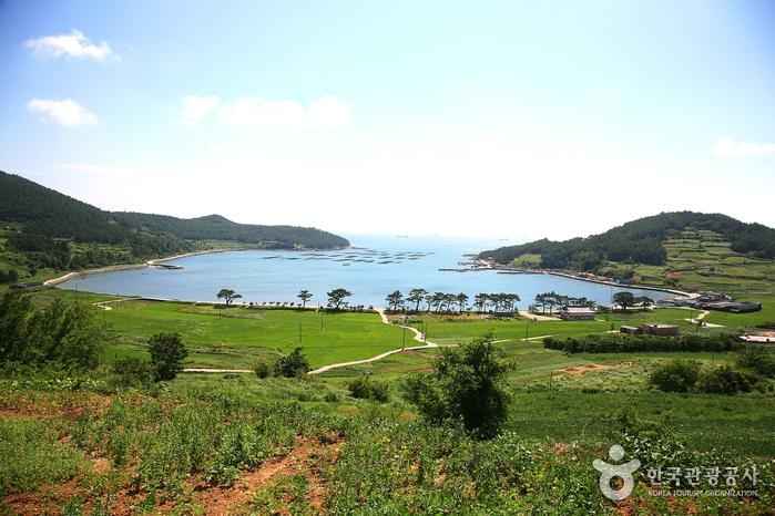 청산도 이미지 1