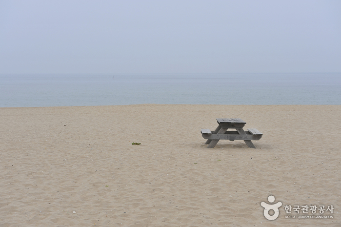 증산해변(증산 해수욕장) 이미지 5