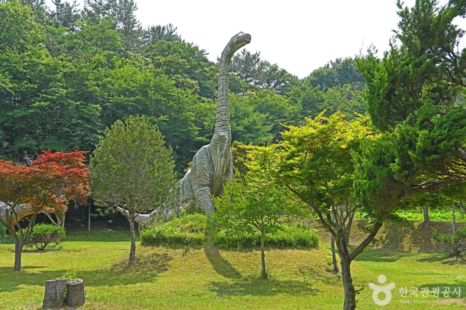 지당자연사박물관 이미지 2