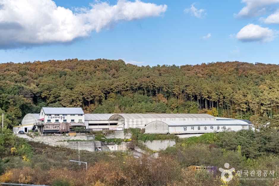 남서울승마클럽 이미지 1