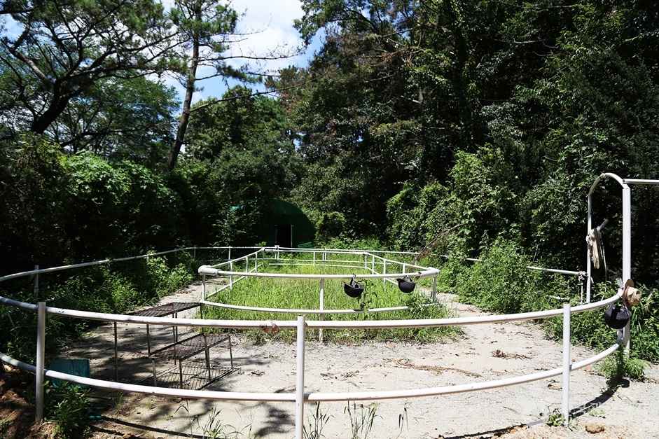 대동승마랜드 이미지 3
