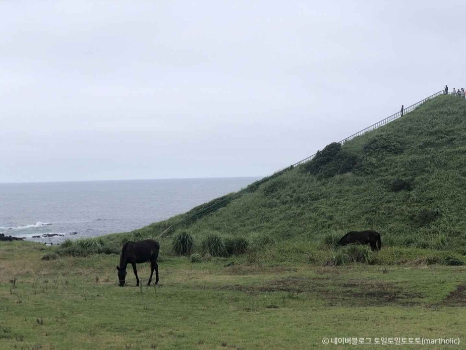 유민미술관 이미지 3