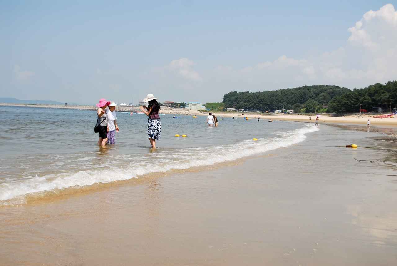 용두해수욕장 이미지 6