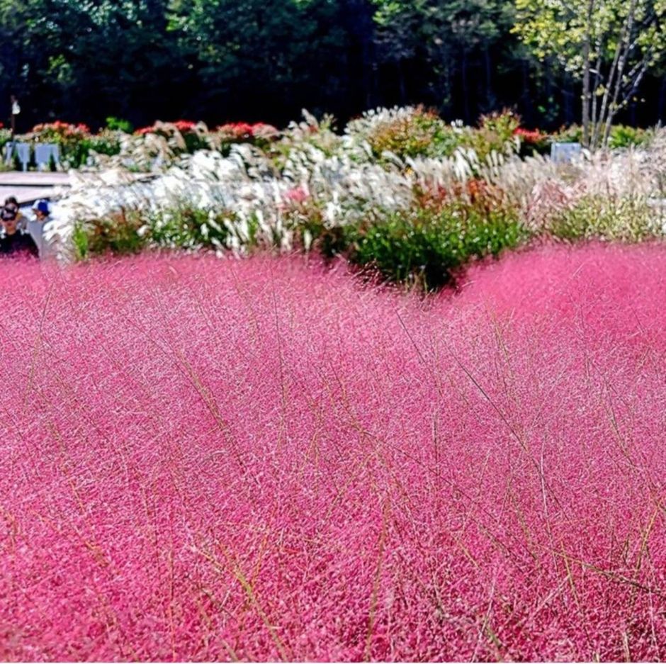 호린파크 이미지 2