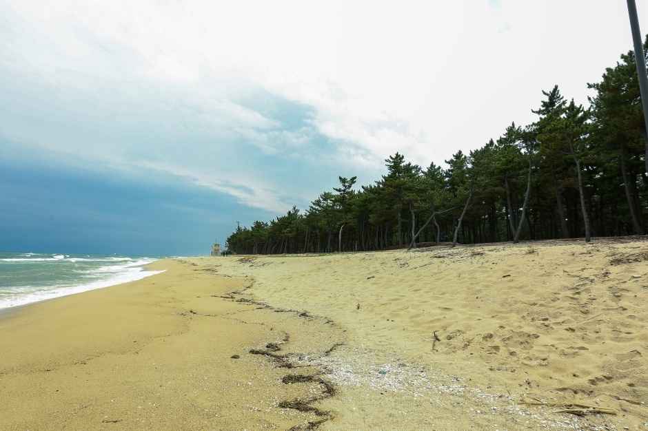 순포해변 이미지 6