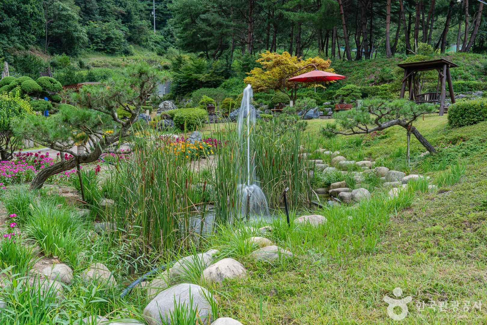 양구수목원 이미지 7