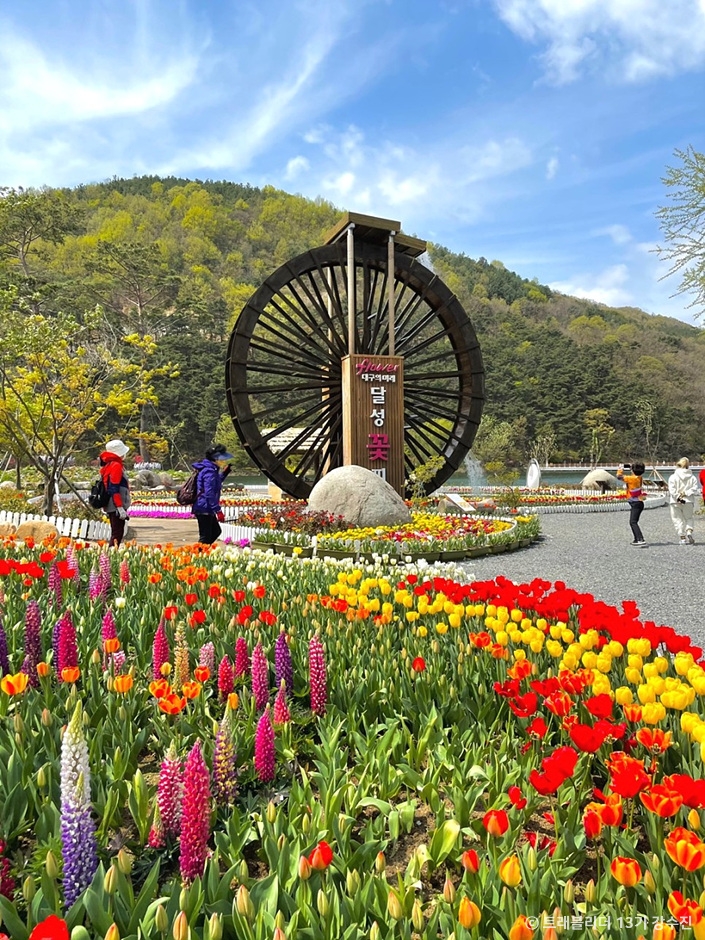 대구 옥연지  송해공원 이미지 5