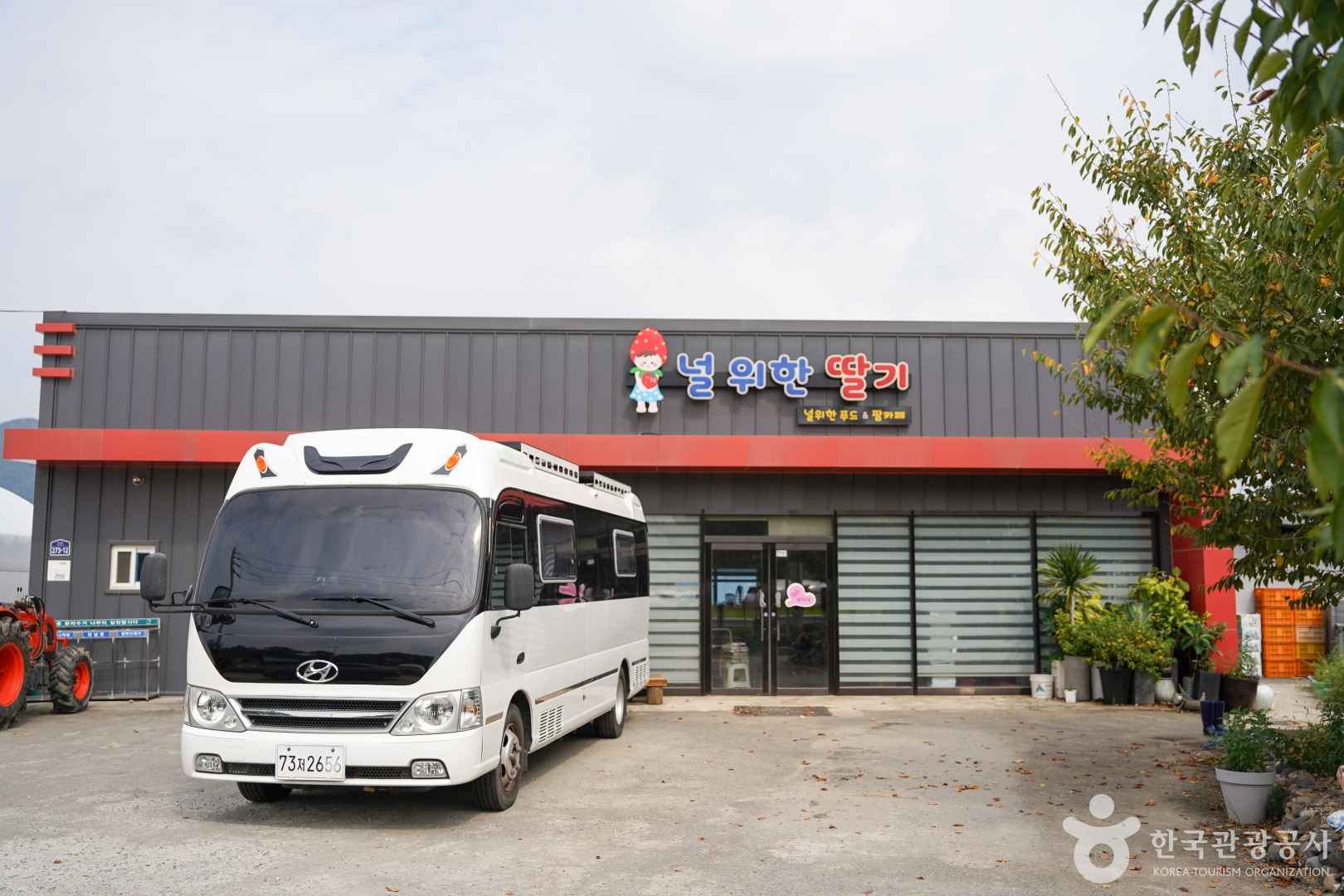 널위한딸기농장 이미지 6