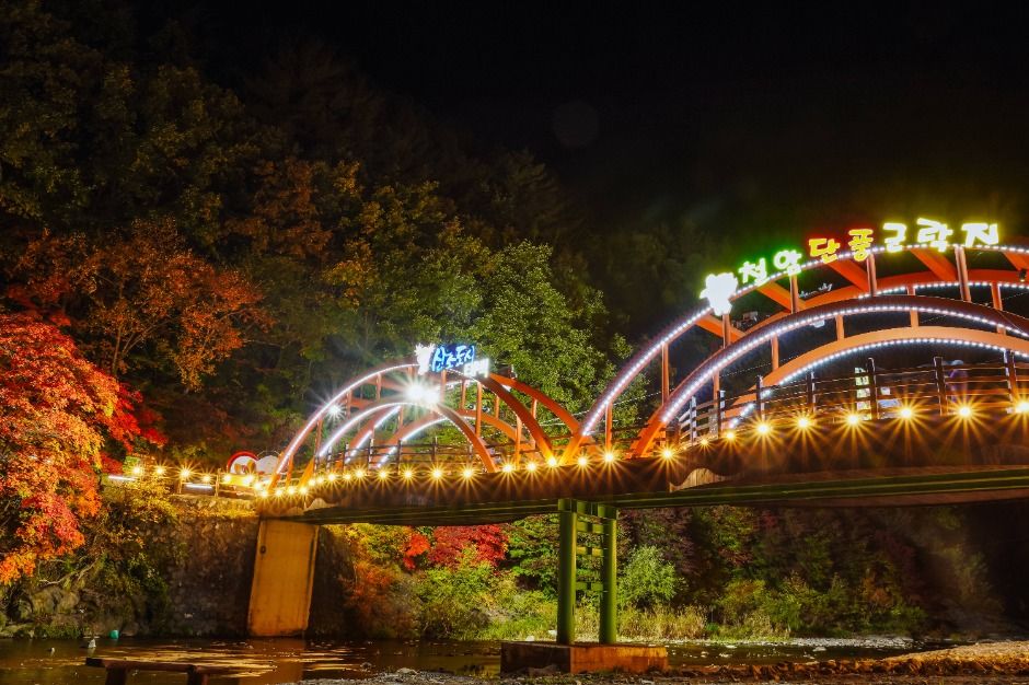 철암단풍군락지 이미지 5