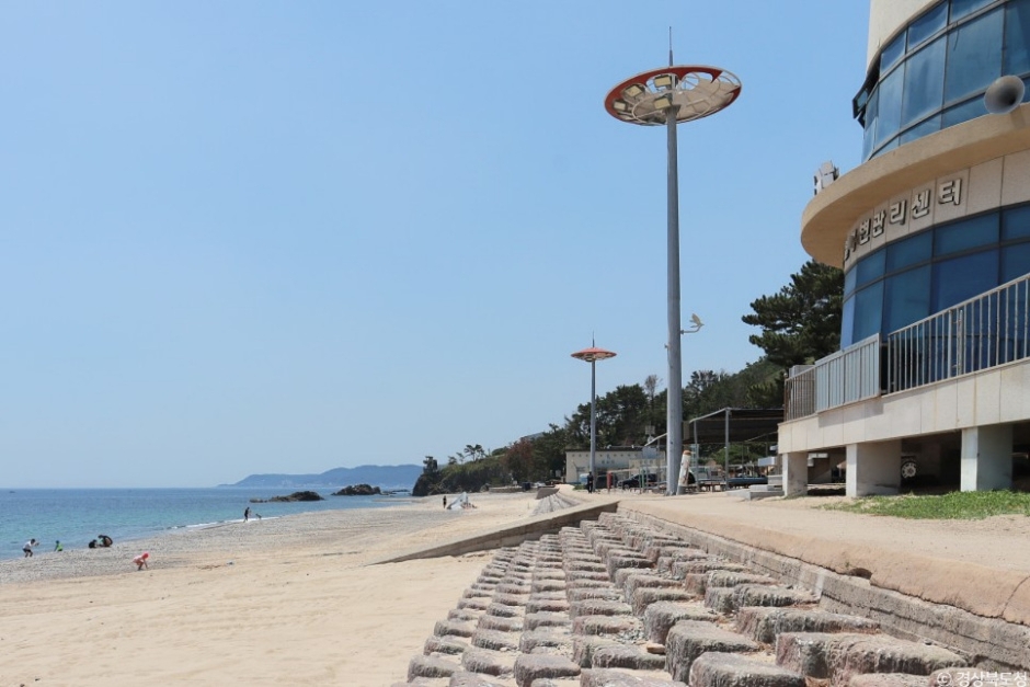관성솔밭해변 이미지 4