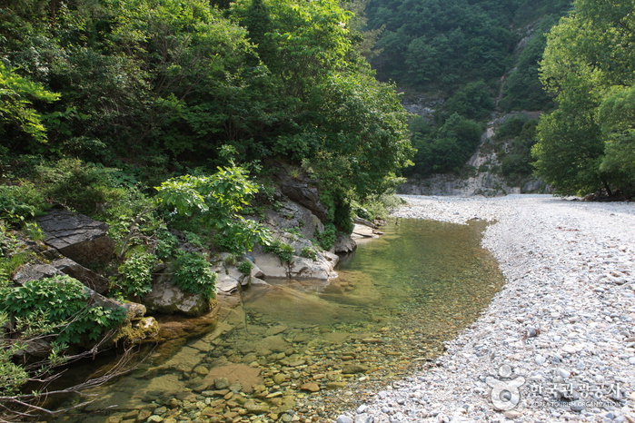 덕산기 계곡 이미지 6