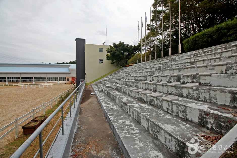 복용승마장 이미지 6