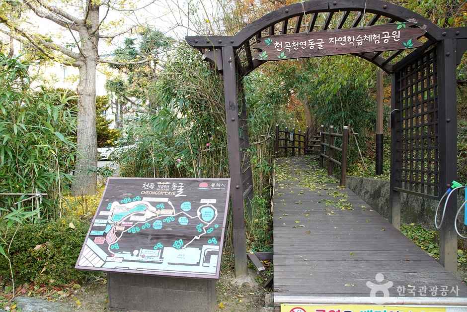 천곡천연동굴 자연학습체험공원 이미지 6