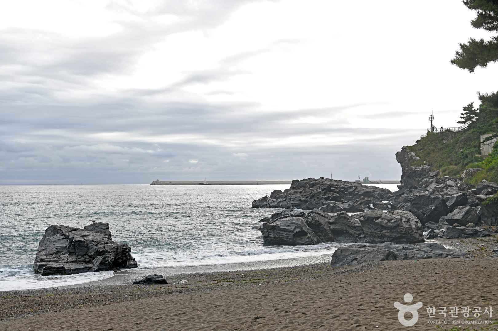 오분해변 이미지 6