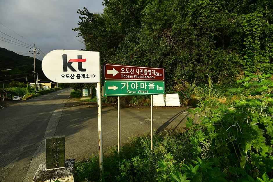 오도산전망대 이미지 5