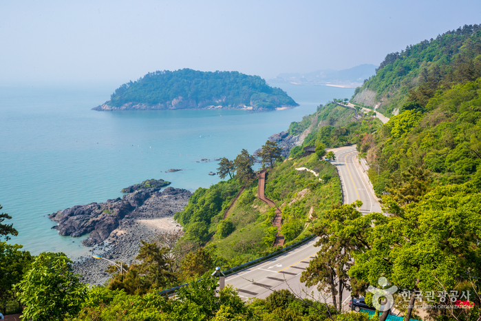 백수해안도로 이미지 5