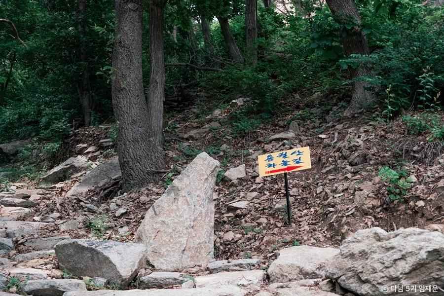 용궐산하늘길 이미지 4