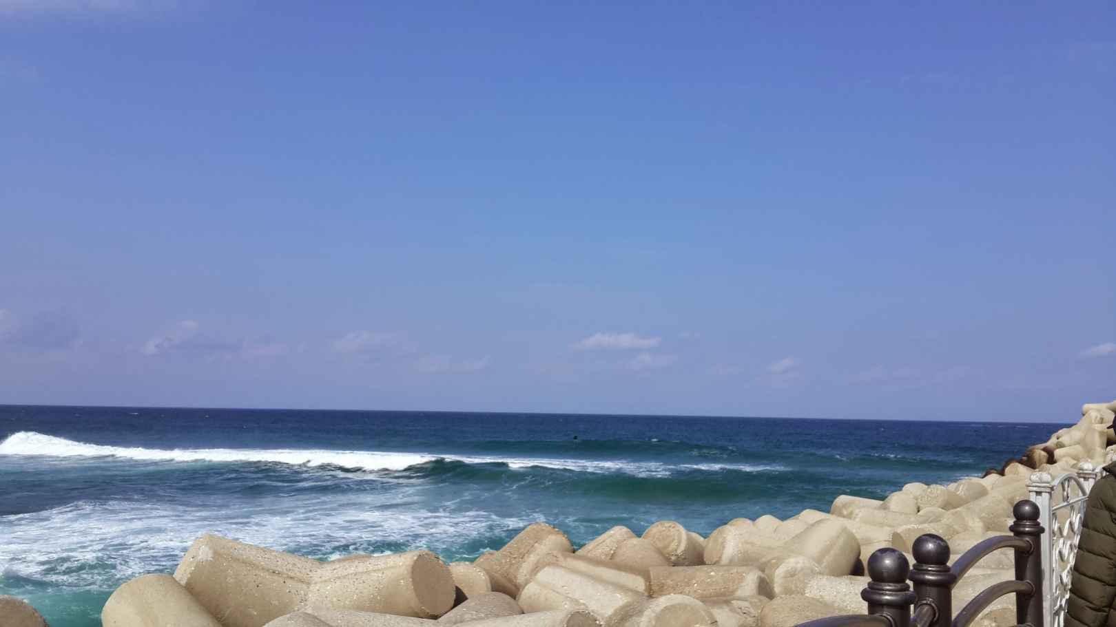 안목해변 이미지 2