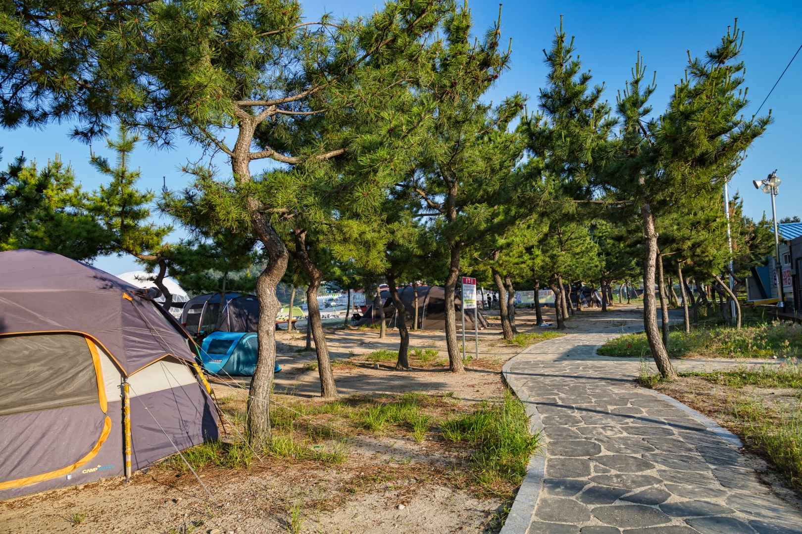 기사문해수욕장 이미지 5