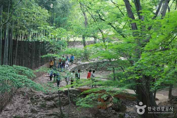 담양 소쇄원 이미지 2
