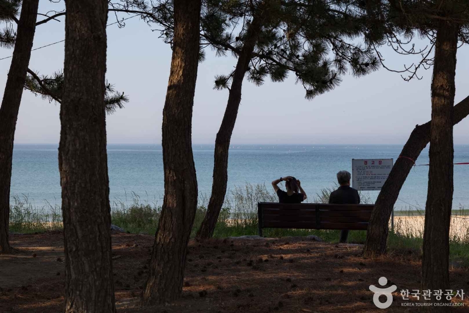 동산해수욕장 이미지 6