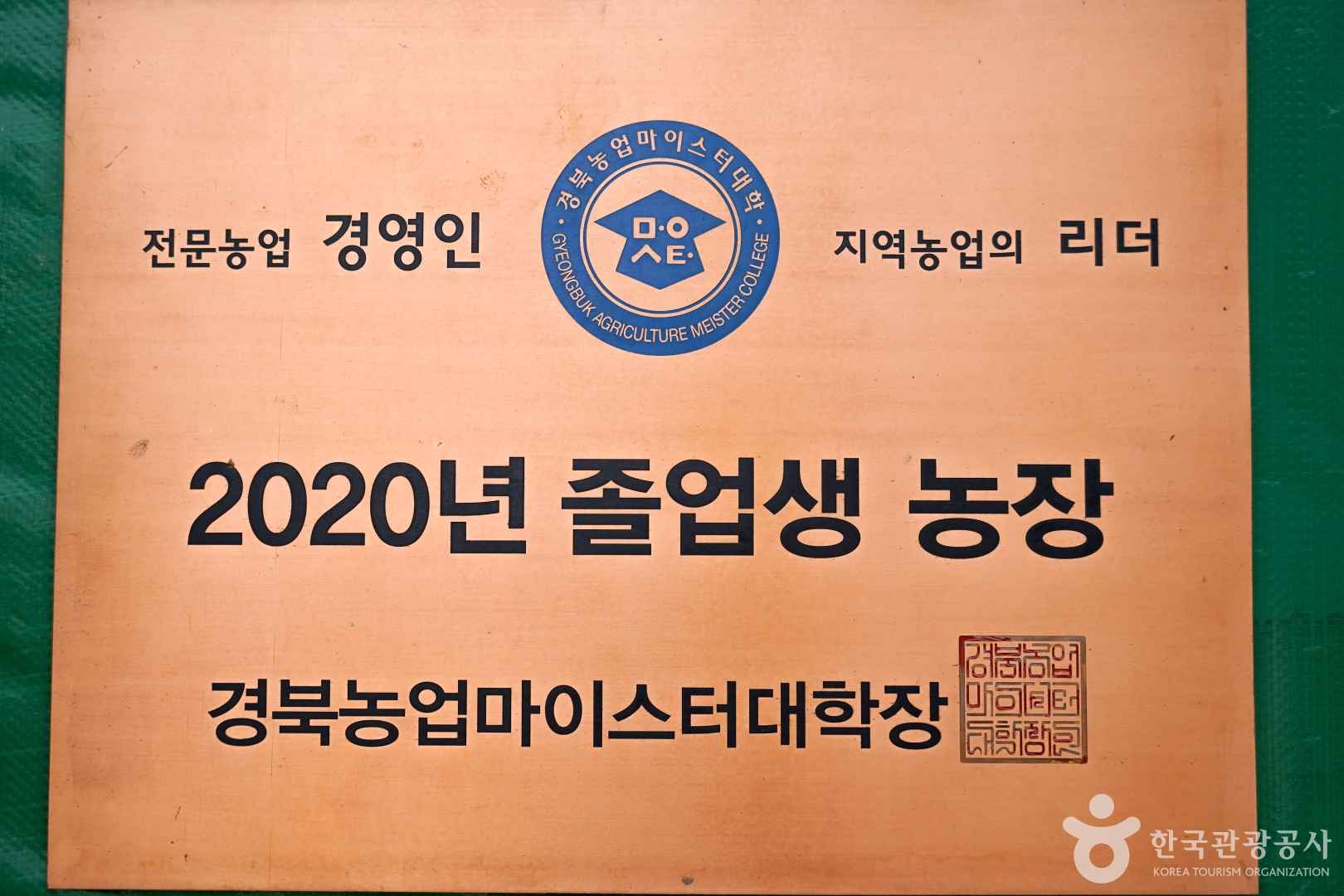 널위한딸기농장 이미지 7