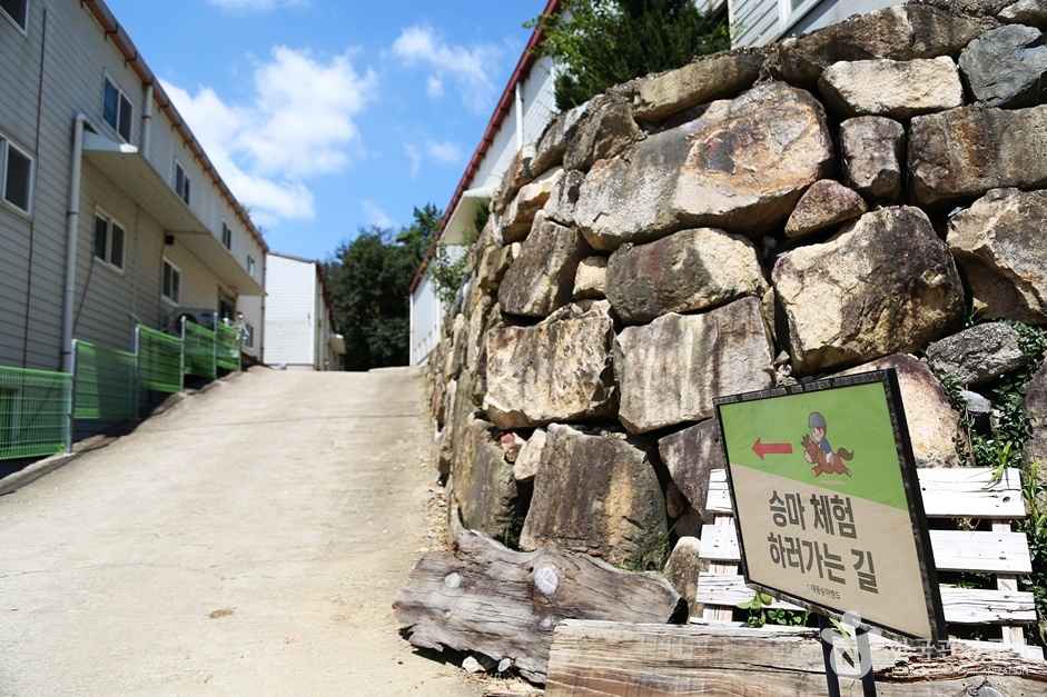 대동승마랜드 이미지 4