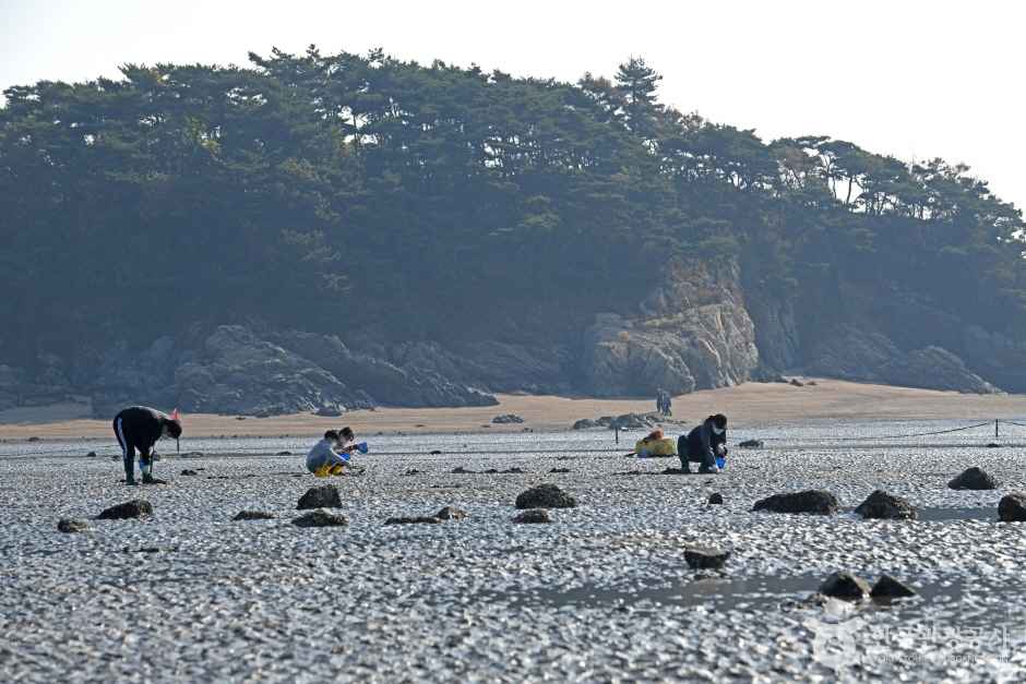 선재도(선재도 어촌체험마을) 이미지 6