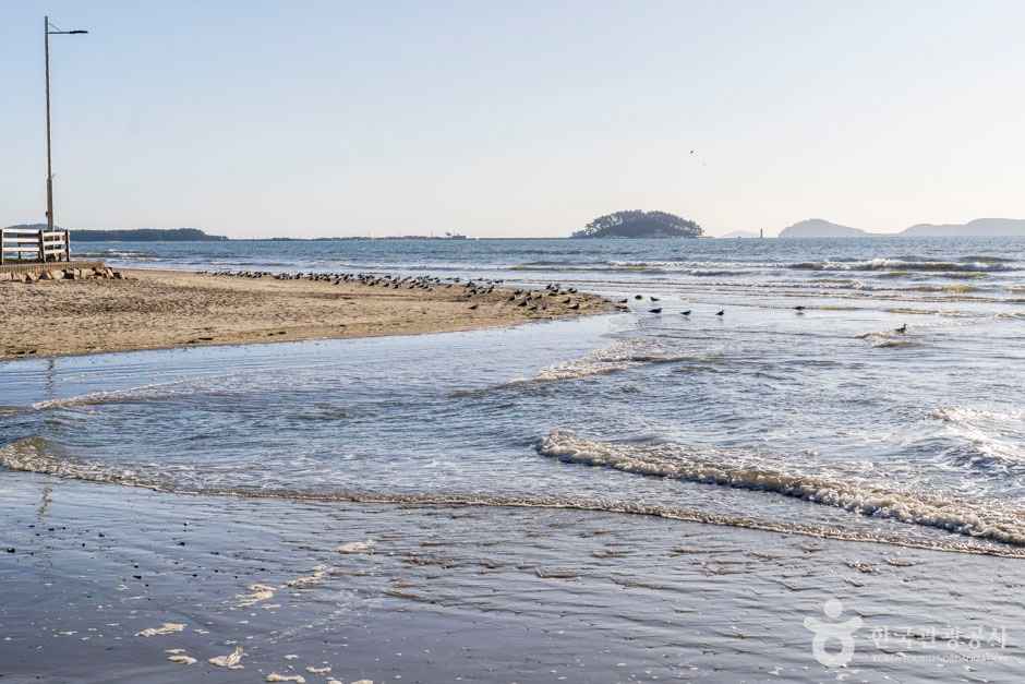청포대해수욕장 이미지 4