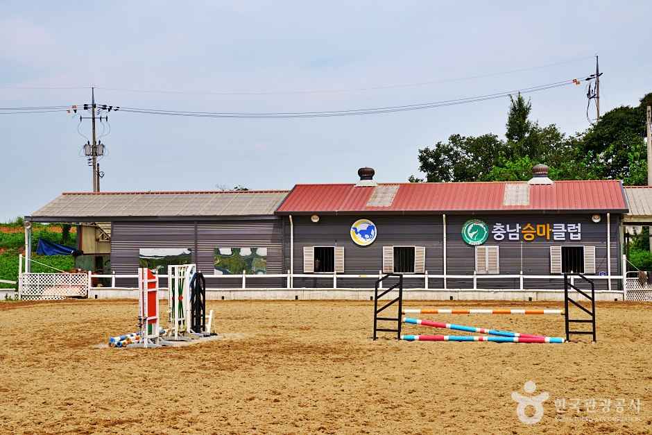 충남승마클럽 이미지 2