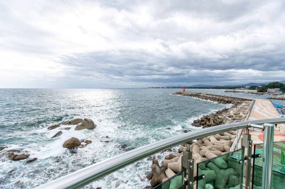 남애항 스카이워크 전망대 이미지 6