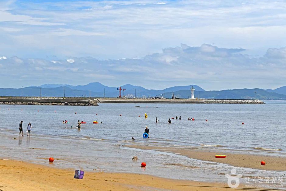 율포해수욕장(솔밭해변) 이미지 4