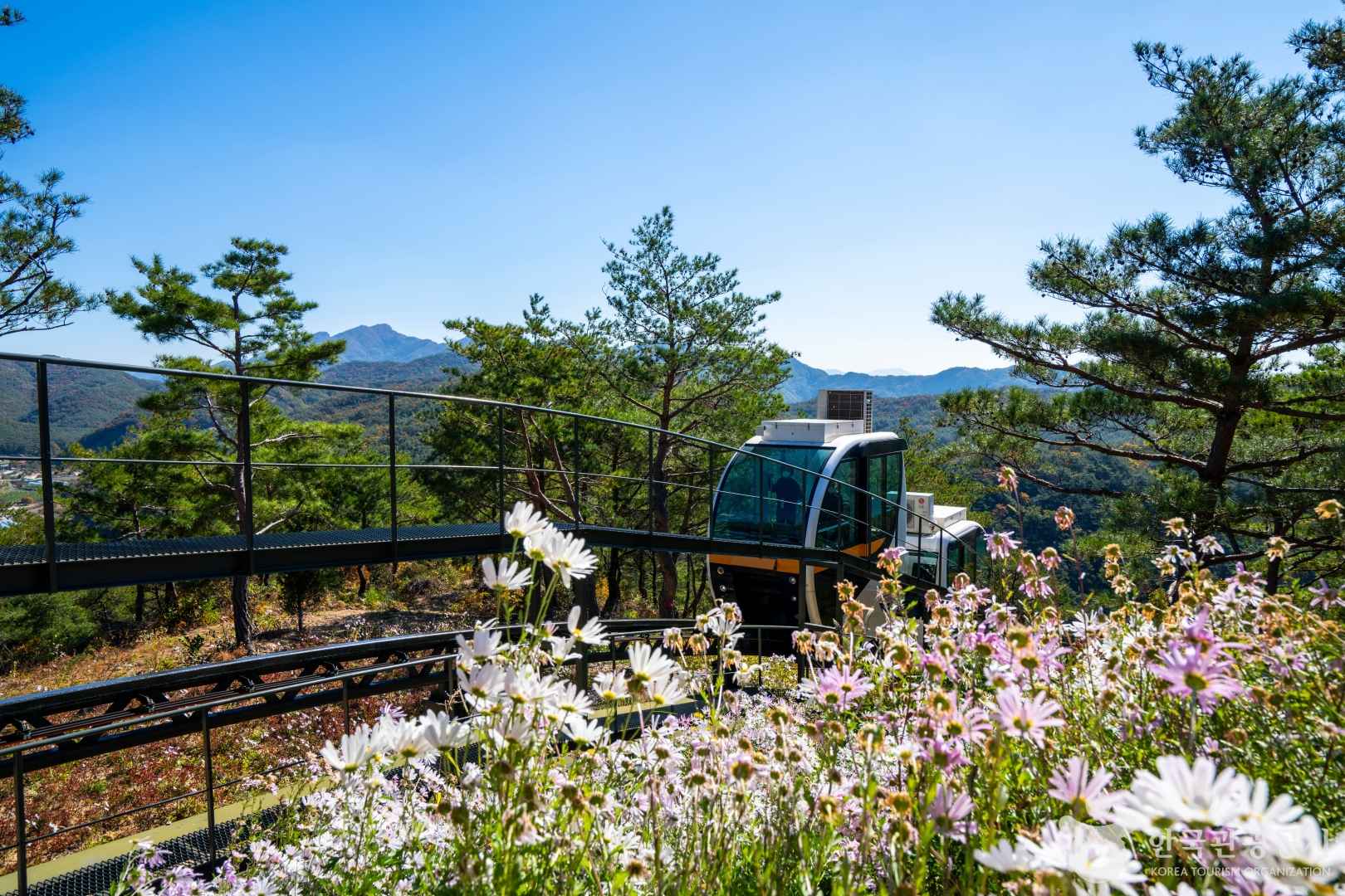 속리산테마파크모노레일 이미지 3